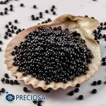 Preciosa 31119/23980/10 Jewelry Making Seed Beads Round Size 10/0 100 Gram 3.5 Oz (Black)