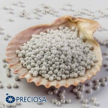 Preciosa 33119/17708/10 Jewelry Making Seed Beads Round Size 10/0 100 Gram 3.5 Oz (Gray)