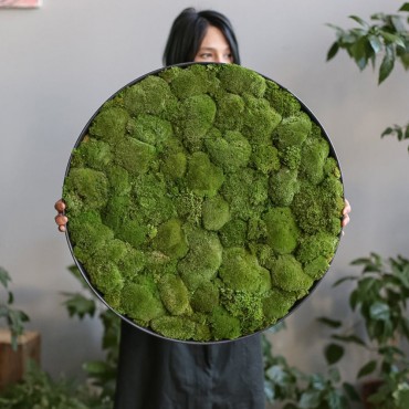 Lonjew Wall Art - Moss Round Wall Art, Greenery Home Decor, Natural Living Plant Frame, Preserved Moss Framed, Botanical Wall Hanging (23.6 inches)