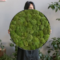 Lonjew Wall Art - Moss Round Wall Art, Greenery Home Decor, Natural Living Plant Frame, Preserved Moss Framed, Botanical Wall Hanging (19.6 inches)