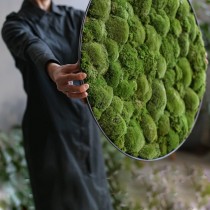 Lonjew Wall Art - Moss Round Wall Art, Greenery Home Decor, Natural Living Plant Frame, Preserved Moss Framed, Botanical Wall Hanging (19.6 inches)