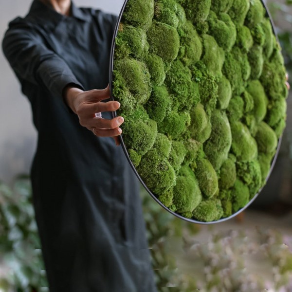 Lonjew Wall Art - Moss Round Wall Art, Greenery Home Decor, Natural Living Plant Frame, Preserved Moss Framed, Botanical Wall Hanging (19.6 inches) 