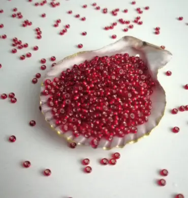 Preciosa Round Seed Beads 97070 10/0  3.5 Oz