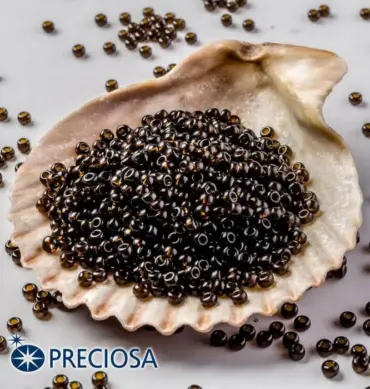 Preciosa Round Seed Beads 10140 9/0 3.5 Oz
