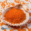 Preciosa Round Seed Beads 90000 10/0  3.5 Oz