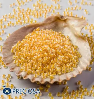 Preciosa Round Seed Beads 38683 10/0 3.5 Oz