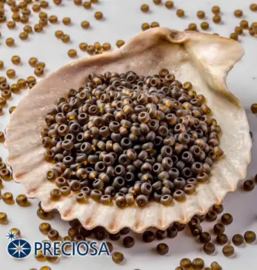 Preciosa Round Seed Beads 10140 10/0 3.5 Oz Matte