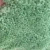 Preciosa Round Seed Beads 02161 10/0 3.5 Oz - Image 7