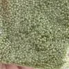 Preciosa Round Seed Beads 17786 10/0  3.5 Oz - Image 3