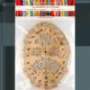 Lonjew Embroidery Floss Thread Organizer Sorter, Needle Magnet, Needlework Crochet Tool, Cross Stitch Craft - Image 13